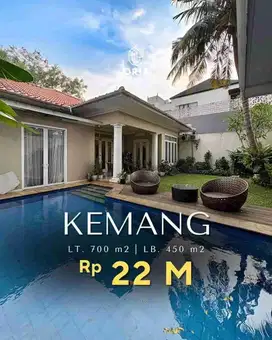 Kemang Dalam Beautiful Tropical House Premium Location Expats Area
