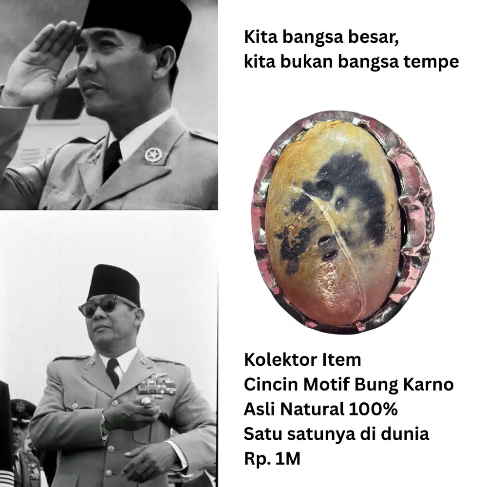 Cincin akik kolektor item