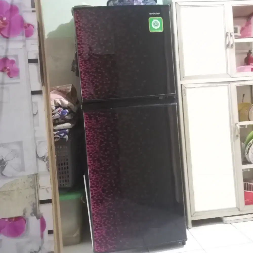 Kulkas sharp 2 pintu