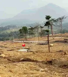 Tanah Kavling Di Bogor Timur Gebyar Spesial Promo Harga Murah FREE Biaya urus surat surat Dekat Cileungsi, Sentul Bekasi Depok Jakarta Cikarang Cibubur, Cibinong, Sentul, Citeureup, Cibitung, Kelapa Nunggal