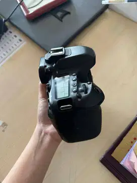 CANON 80D BODY ONLY NO VIGNET ICK 1129