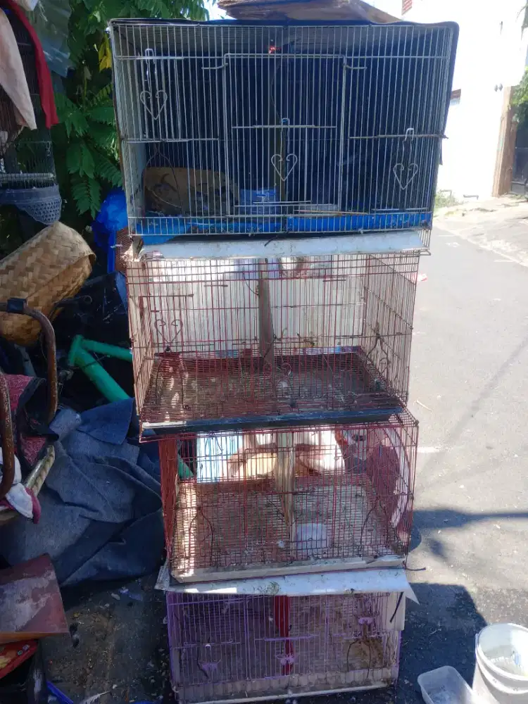 Kandang besi bekas merpati disekat 2