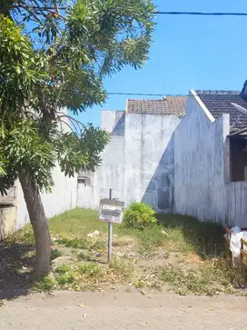 Tanah Murah Bukit Palma Citraland Bisa Kredit