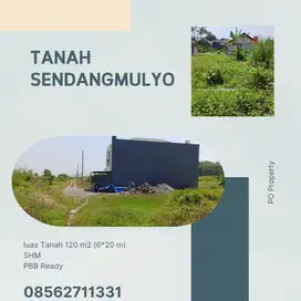 Tanah Sendangmulyo CoCok Untuk Hunian Atau Investasi Masa Depan