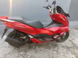 PCX 160cc 2023. Surat lengkap pajak hidup pemakaian pribadi