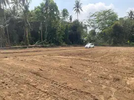 Tanah Seratusan Juta Di Jalan Magelang Jogja SHM P