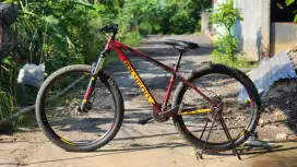 Polygon Premier 4