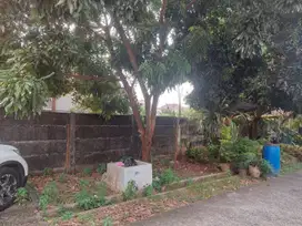 Rumah Bagus Siap Huni Strategis dalam Cluster Palem Semi Karawaci