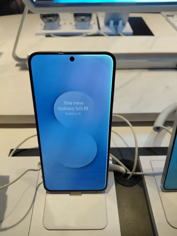 Samsung Galaxy S25 FE