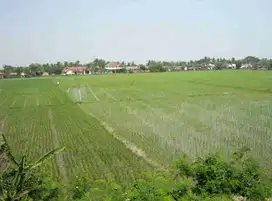 Tanah luas 40.527 m2 dijual CEPAT di Cabangbungin Babelan Bekasi