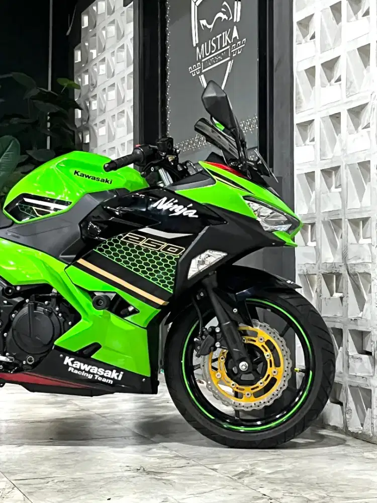 KAWASAKI NINJA 250 KRT EDITION 2019