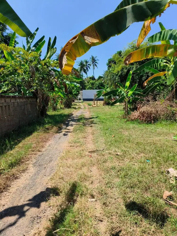 Dijual tanah luas 2.90 lovina kaliasem