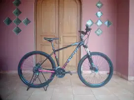 Polygon Premier 5
