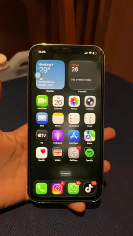 iphone 13 promax 128gb