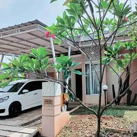 Disewakan rumah Nyaman dalam cluster Perumahan Villa Rizki Ilhami, Sawangan, Depok