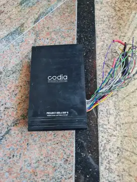 Prosesor Codia Project 450.6 DSP II