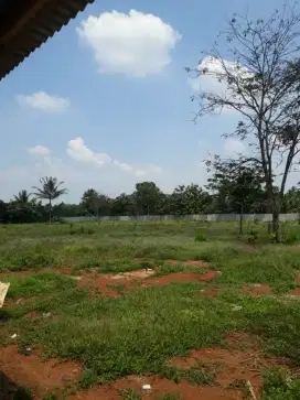 Tanah lintas Sumatera tegineneng (samping polsek)