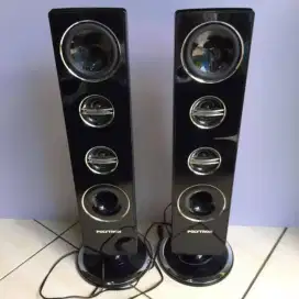 Speaker tower polytron