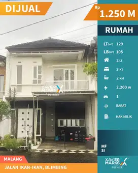 Rumah Minimalis di Jalan Ikan-ikan Blimbing Kota Malang