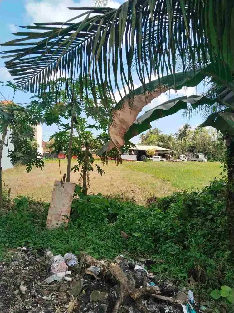 disewakan tanah Datar view sawah
