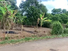 Dijual kebun rambutan
