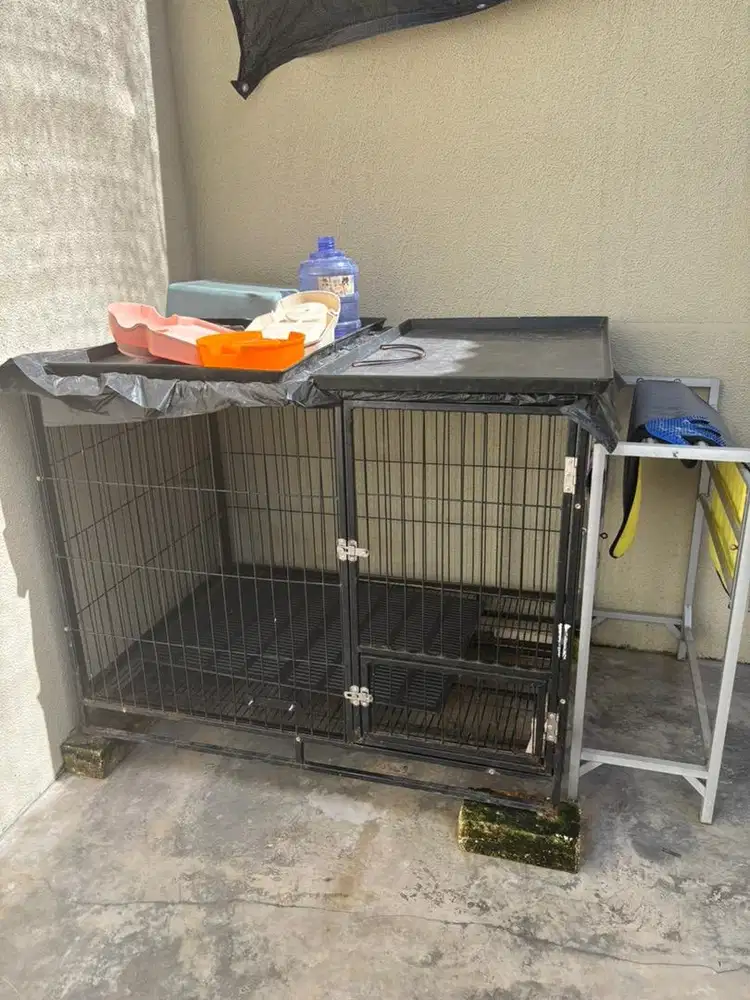 Kandang anjing besar