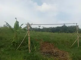 Tanah Kosong 300m dari kantor Bupati Pesawaran