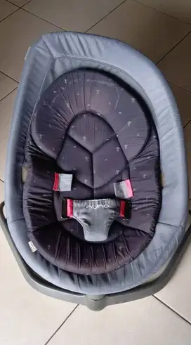 Bouncer Nuna Leaf