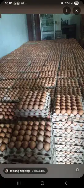 Telur ayam merah