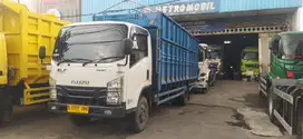 NMR 81 U long bak istimewa 2024
