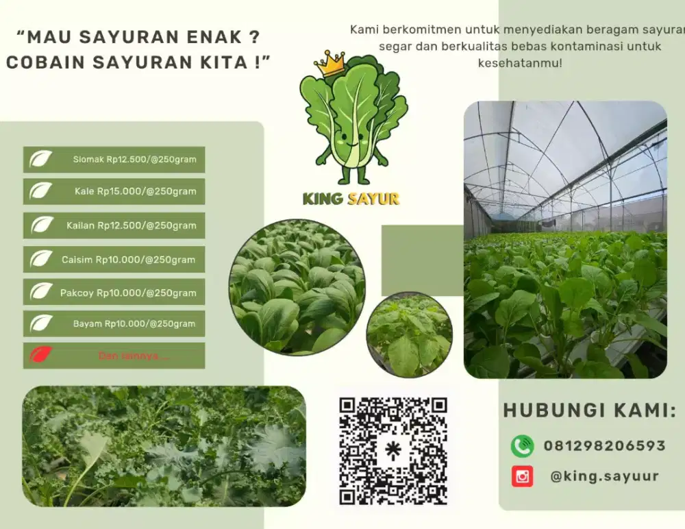 KING Sayur Mayur Sayuran