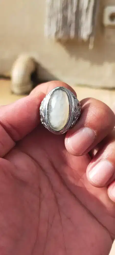 Pandan kapas serat rapet ajib