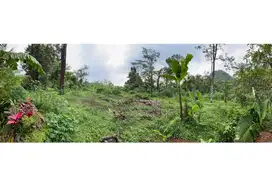 TANAH LUAS 1.500 M2 DI SINAPEUL COCOK UNTUK INVESTASI/AGRIBISNIS
