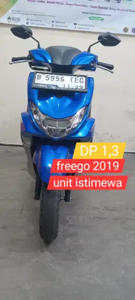 Freego 2019 low km gressss dp 1,1