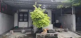 Rumah Semi Furnished Siap Huni Lokasi Perumahan Medaeng Waru Sidoarjo