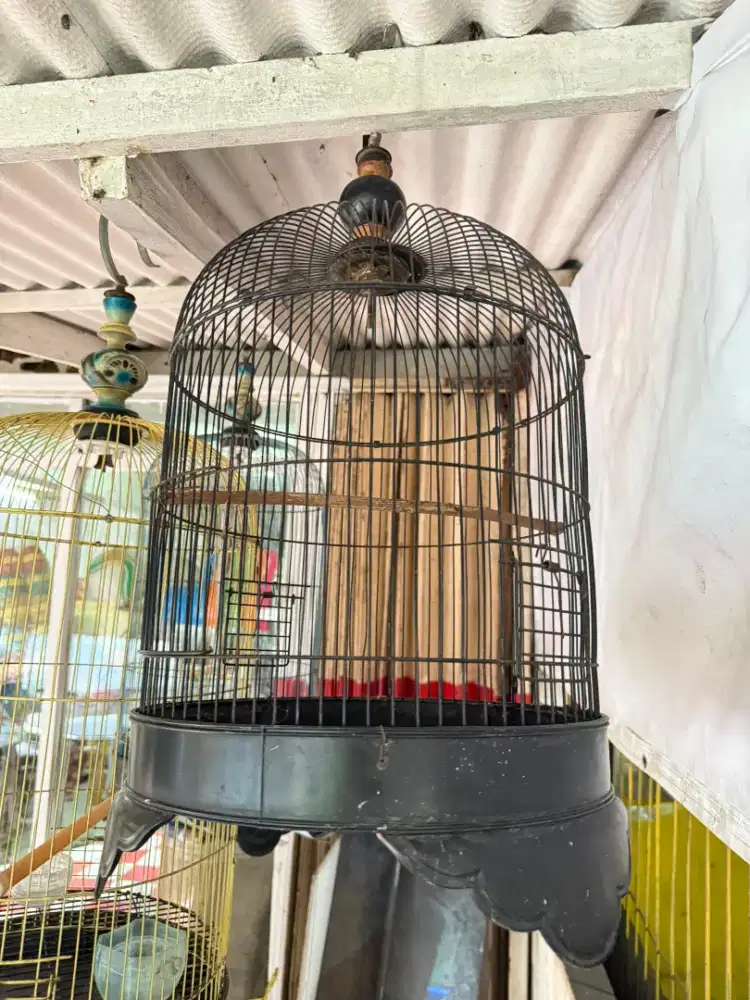 Kandang Berbagai jenis burung