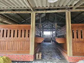 RUMAH DI KELURAHAN CERME KIDUL, CERME, GRESIK