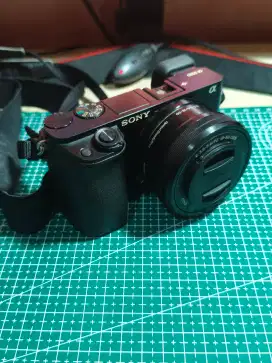 Mirrorless Sony A6000