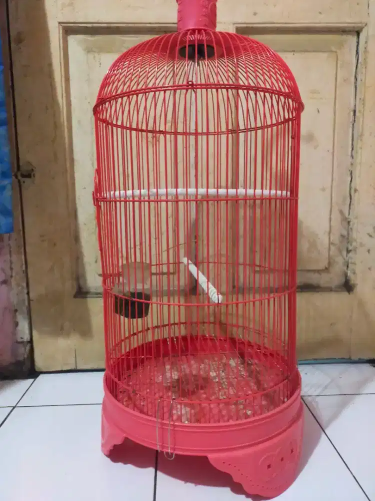 Sangkar Love Bird seken like new