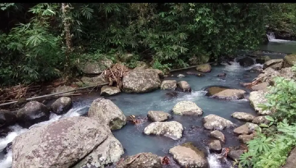 Tanah View Sungai Dan Jungle Dekat Bali Eco Stay