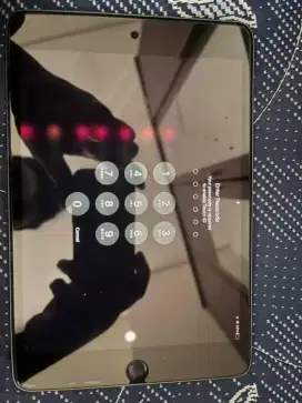 Ipad mini 5 wifi only 64gb