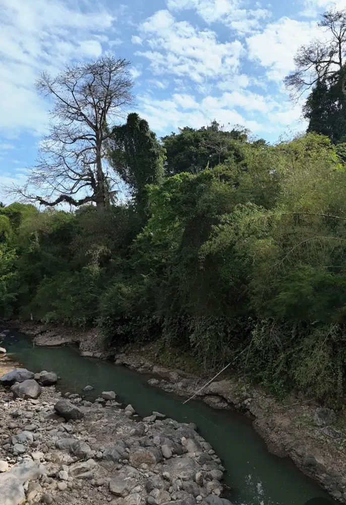 Tanah view sungai dan jungle dekat Pantai Antap dan Soka Bali