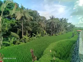 Tanah View Jungle Di Tegallalang 15 Menit Dari Ubud Center