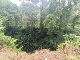 Tanah view Sungai dan Jungle di Kenderan dekat Ubud Bali
