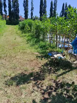 Di jual tanah kebun jeruk depan malang tv