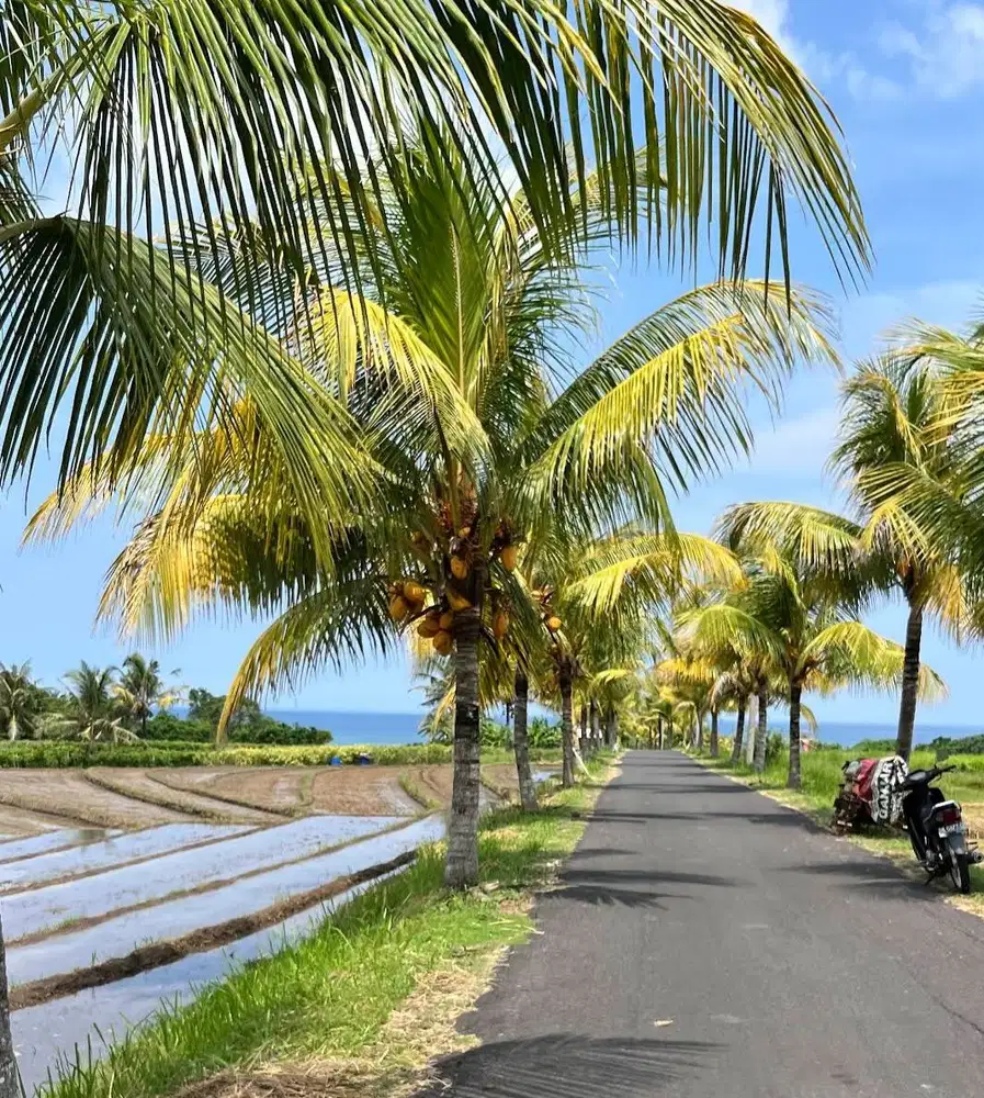 Tanah Zona Pink 400 meter dari Pantai Kelecung Bali