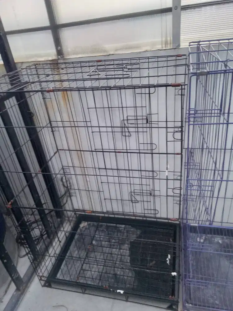Kandang kucing 2 tingkat ada 2 buah