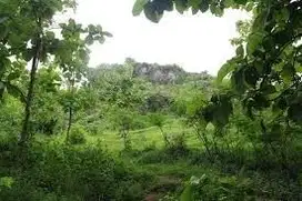 Tanah Tambang Galian C di Rengel Tuban