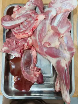 Karyawan / karyawati Resto Olahan kambing