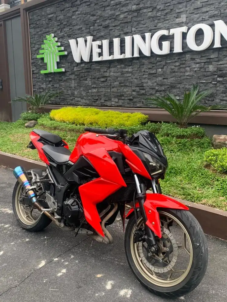 2013 kawqsaki z 250